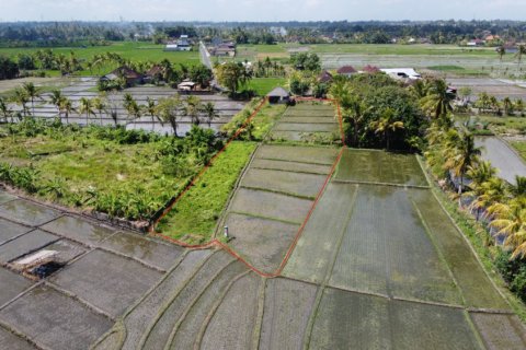 Land in Tabanan, Indonesia No. 11581 5