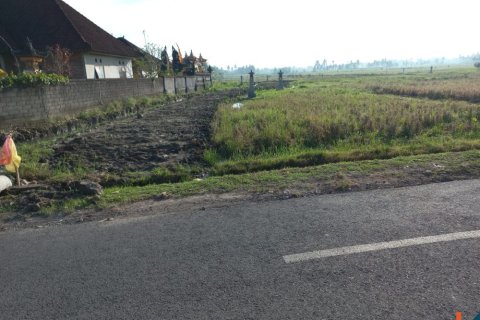 Land in Tabanan, Indonesia No. 11580 2