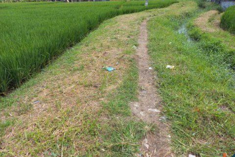 Land in Tabanan, Indonesia No. 11580 4