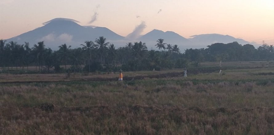 Land in Tabanan, Indonesia No. 11580
