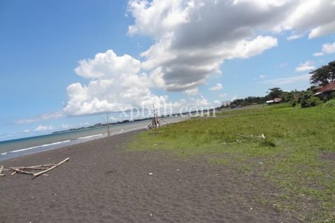 11950m2 Land in Gianyar, Indonesia No. 500 12