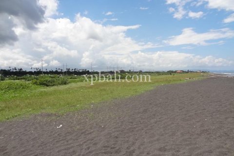 11950m2 Land in Gianyar, Indonesia No. 500 10