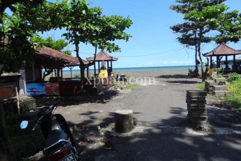 11950m2 Land in Gianyar, Indonesia No. 500 4