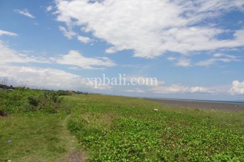 11950m2 Land in Gianyar, Indonesia No. 500 2