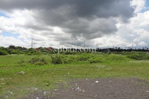 11950m2 Land in Gianyar, Indonesia No. 500 11