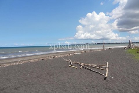 11950m2 Land in Gianyar, Indonesia No. 500 7