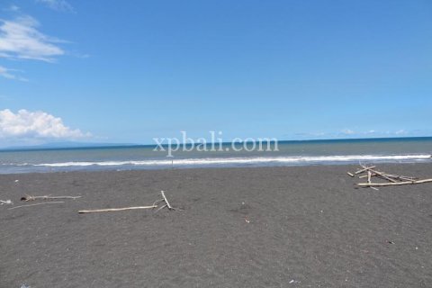 11950m2 Land in Gianyar, Indonesia No. 500 13