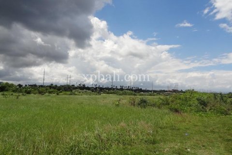 11950m2 Land in Gianyar, Indonesia No. 500 3
