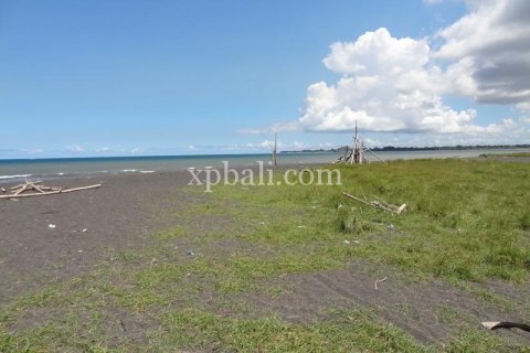 11950m2 Land in Gianyar, Indonesia No. 500