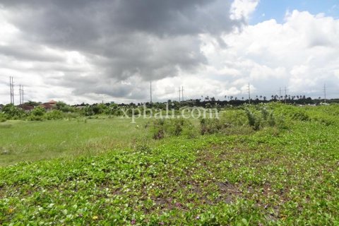 11950m2 Land in Gianyar, Indonesia No. 500 6