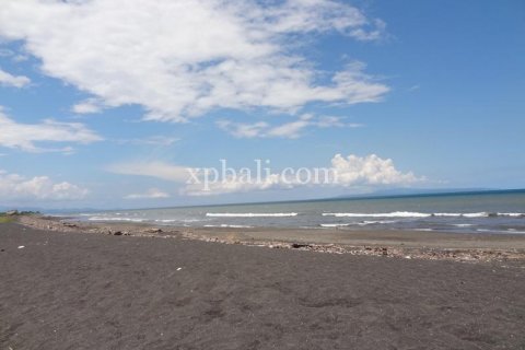 11950m2 Land in Gianyar, Indonesia No. 500 8