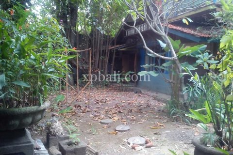 1050m2 Land in Seminyak, Badung, Indonesia No. 501 11