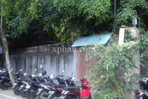 1050m2 Land in Seminyak, Badung, Indonesia No. 501 3