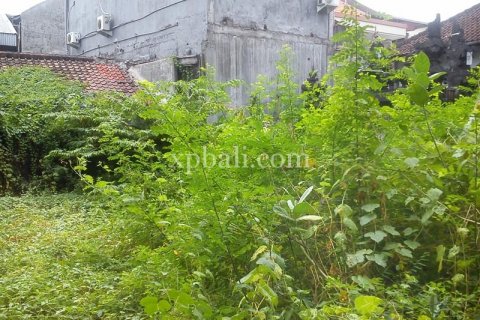 1050m2 Land in Seminyak, Badung, Indonesia No. 501 17
