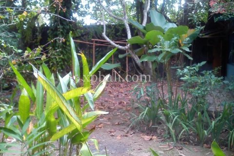 1050m2 Land in Seminyak, Badung, Indonesia No. 501 13