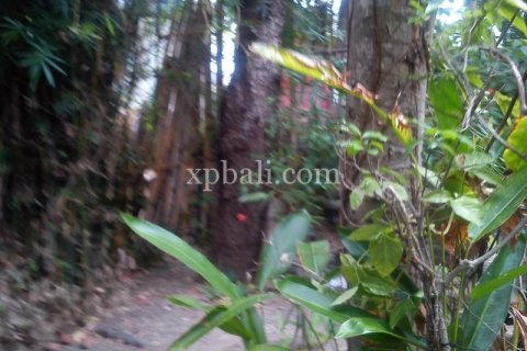 1050m2 Land in Seminyak, Badung, Indonesia No. 501 12
