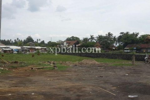 Земельный участок 5000м2 в Gianyar, Гианьяр, Индонезия № 505 16