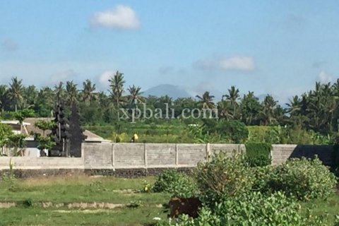 Земельный участок 5000м2 в Gianyar, Гианьяр, Индонезия № 505 5