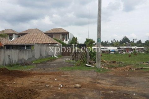 Земельный участок 5000м2 в Gianyar, Гианьяр, Индонезия № 505 12