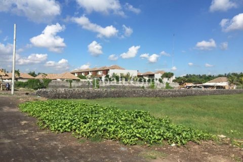 Земельный участок 5000м2 в Gianyar, Гианьяр, Индонезия № 505 8