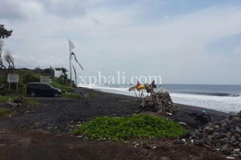 5000m2 Land in Gianyar, Indonesia No. 505