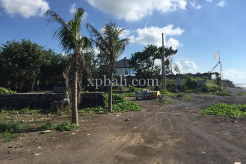Земельный участок 5000м2 в Gianyar, Гианьяр, Индонезия № 505 4