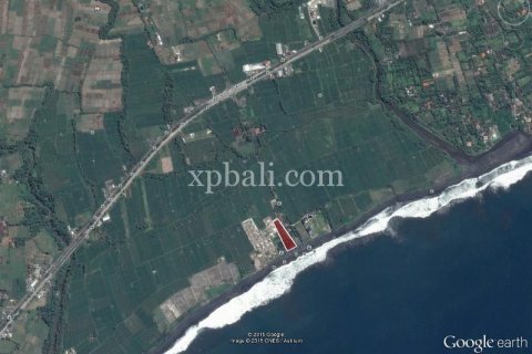 Земельный участок 5000м2 в Gianyar, Гианьяр, Индонезия № 505 19