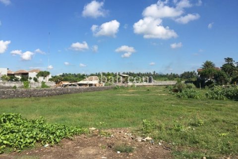 Земельный участок 5000м2 в Gianyar, Гианьяр, Индонезия № 505 9