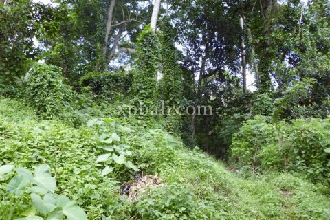 15000m2 Land in Ubud, Gianyar, Indonesia No. 502 10