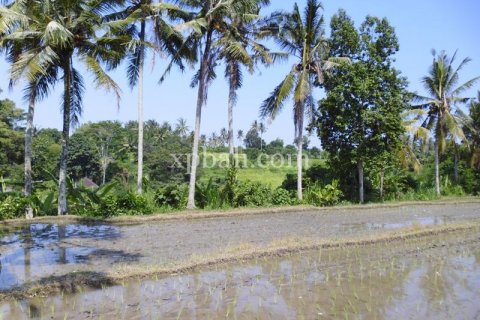 15000m2 Land in Ubud, Gianyar, Indonesia No. 502 5