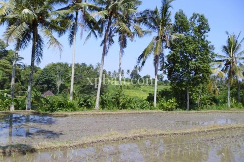 15000m2 Land in Ubud, Gianyar, Indonesia No. 502 15