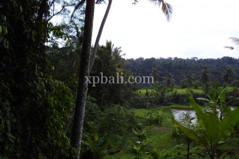 15000m2 Land in Ubud, Gianyar, Indonesia No. 502 12