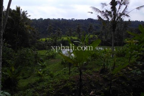 15000m2 Land in Ubud, Gianyar, Indonesia No. 502 13