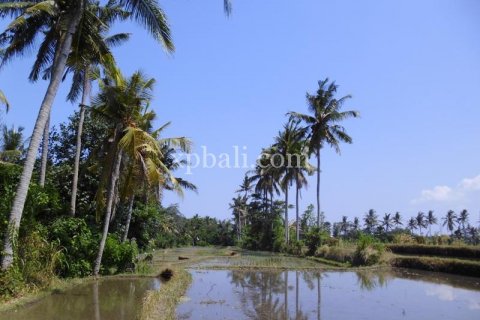 15000m2 Land in Ubud, Gianyar, Indonesia No. 502 6