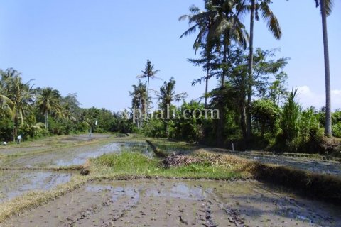 15000m2 Land in Ubud, Gianyar, Indonesia No. 502 14