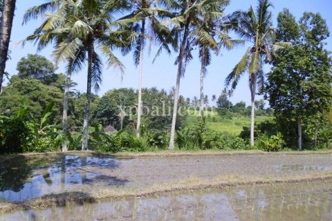 15000m2 Land in Ubud, Gianyar, Indonesia No. 502 2