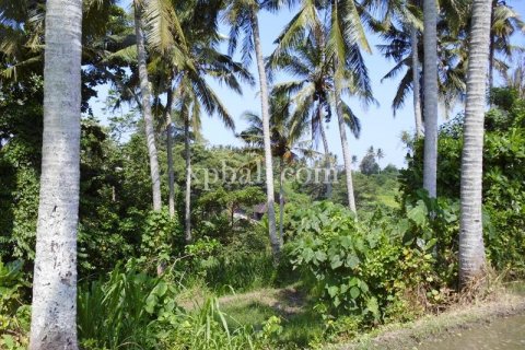15000m2 Land in Ubud, Gianyar, Indonesia No. 502 7
