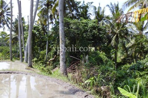 15000m2 Land in Ubud, Gianyar, Indonesia No. 502 8