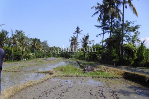 15000m2 Land in Ubud, Gianyar, Indonesia No. 502 4