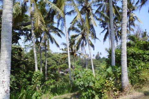 15000m2 Land in Ubud, Gianyar, Indonesia No. 502 9
