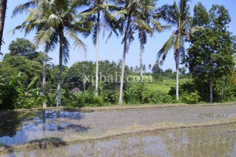 15000m2 Land in Ubud, Gianyar, Indonesia No. 502 16