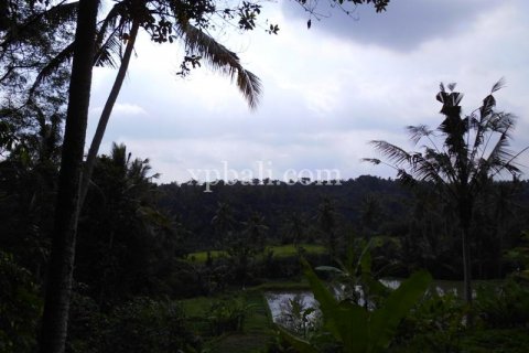 15000m2 Land in Ubud, Gianyar, Indonesia No. 502 11