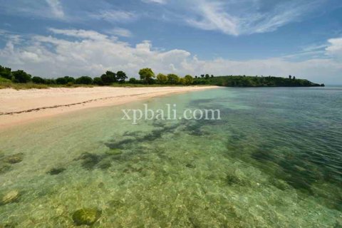 108920m2 Land in Indonesia No. 7951