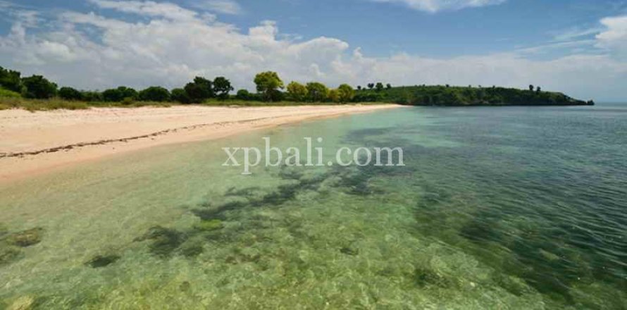 108920m2 Land in Indonesia No. 7951
