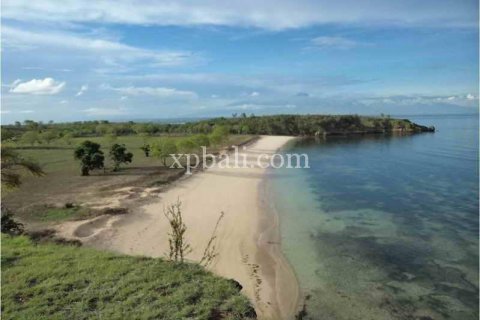 108920m2 Land in Indonesia No. 7951 2