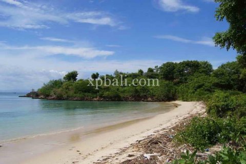39865m2 Land in Indonesia No. 7950 12