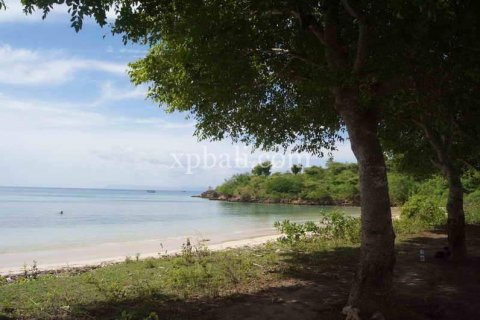 39865m2 Land in Indonesia No. 7950