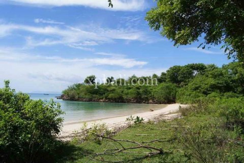 39865m2 Land in Indonesia No. 7950 6
