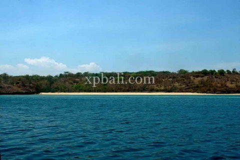 39865m2 Land in Indonesia No. 7950 16