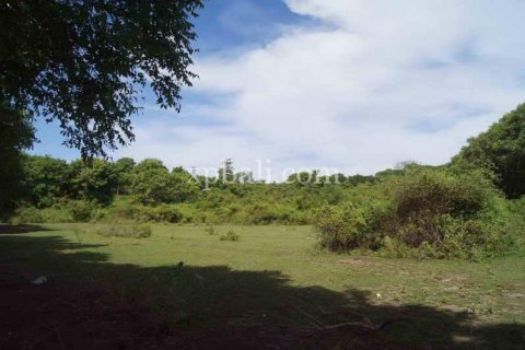 39865m2 Land in Indonesia No. 7950 5